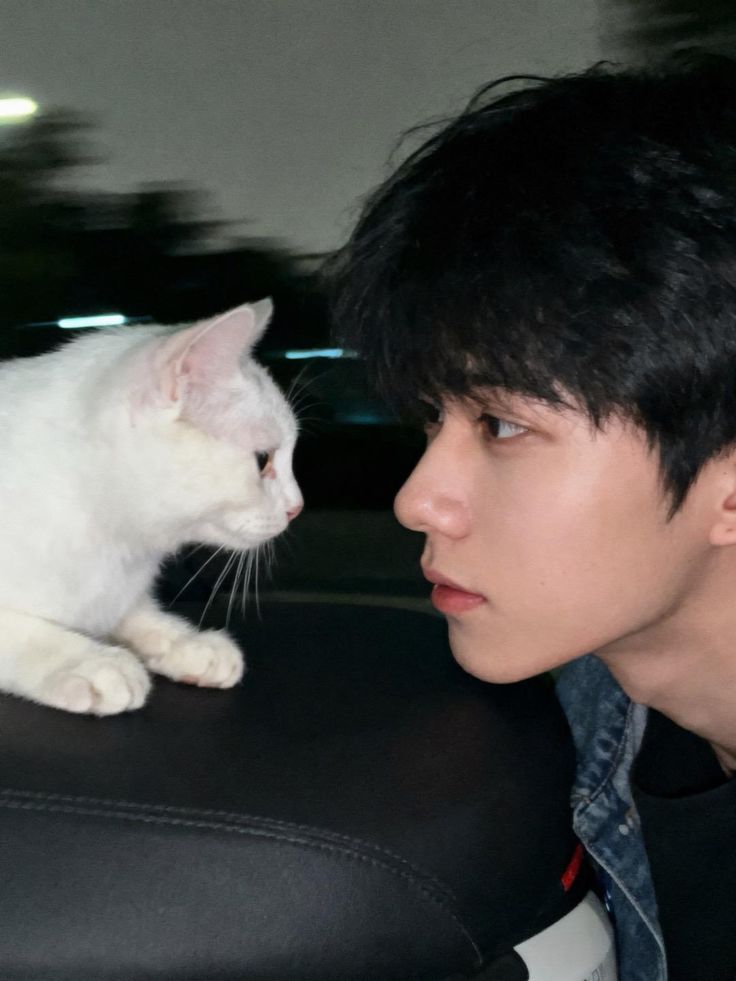 Một Đời Được Yêu