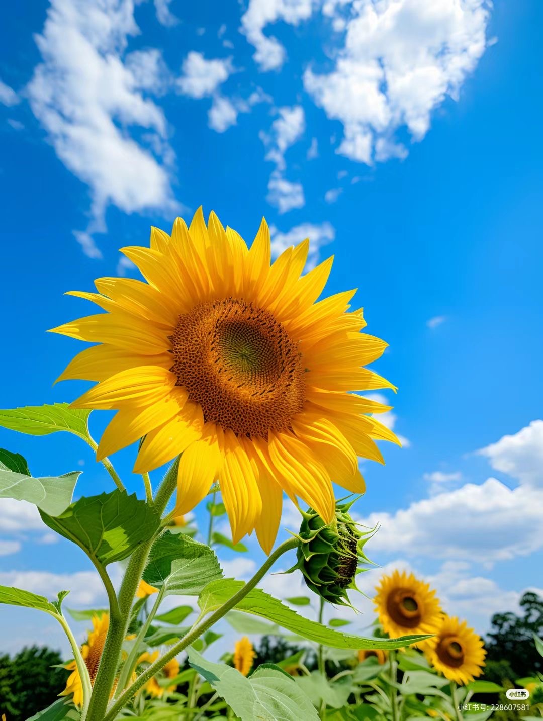 TÌNH THÂN LỢI DỤNG